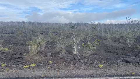 Trade Wind Blvd, Ocean View, HI 96737