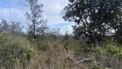 aloha blvd., Ocean View, HI 96737