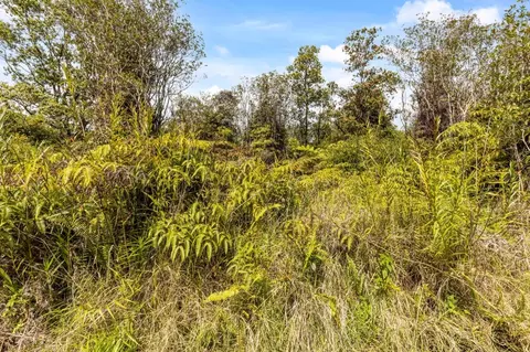 Road 7, Mountain View, HI 96771 photo 8