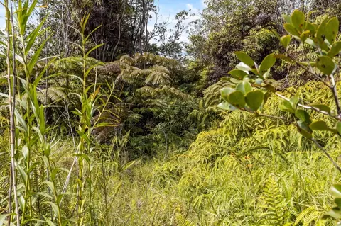 Road 7, Mountain View, HI 96771 photo 9