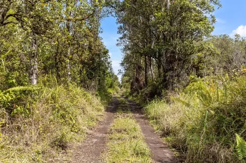 Road 7, Mountain View, HI 96771 photo 6