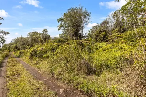 Road 7, Mountain View, HI 96771 photo 7