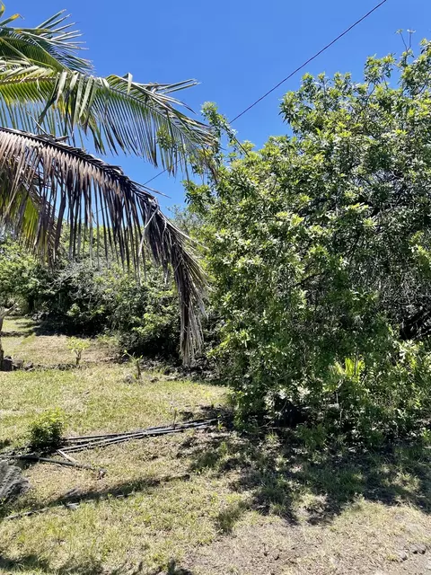 Holowai St, Naalehu, HI 96772
