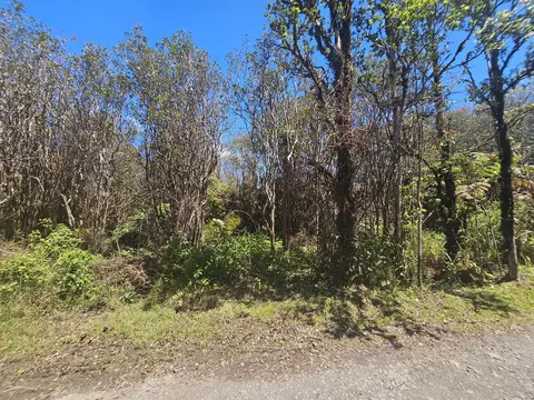 Road 9, Mountain View, HI 96771