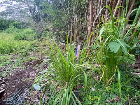 Diamond Head Dr, Pahoa, HI 96778