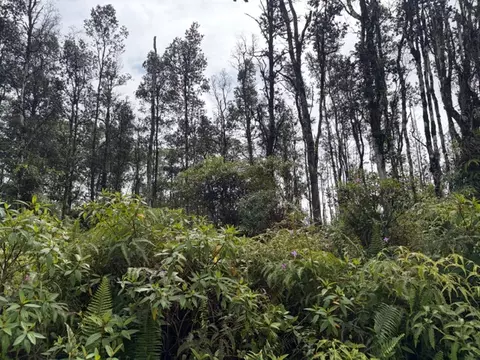 Seaview Rd, Pahoa, HI 96778