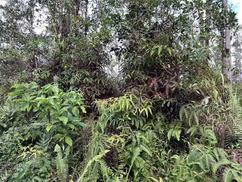 Seaview Rd, Pahoa, HI 96778