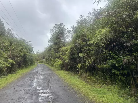 Palm Tree Dr, Mountain View, HI 96771