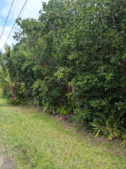 12-262 Pohakupele Loop, Pahoa, HI 96778