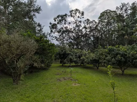 41 St Ave, Kurtistown, HI 96760