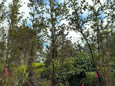 Anuhea St, Volcano, HI 96785 photo 10