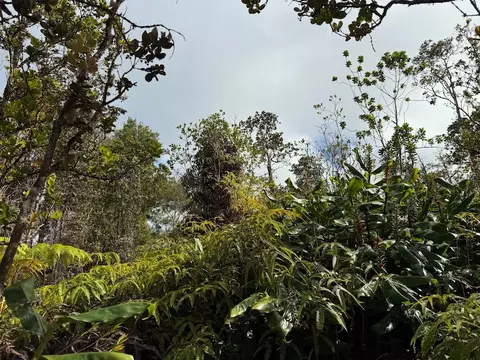 Anuhea St, Volcano, HI 96785 photo 11