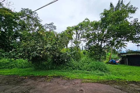 driftwood rd LOT 202, Pahoa, HI 96778