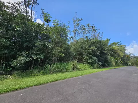 Hinalea St, Pahoa, HI 96778