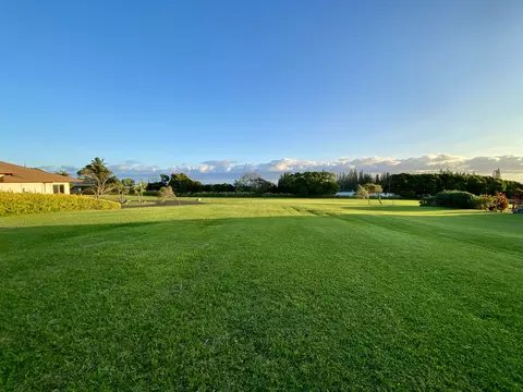 54-3706 Lehuula Cir, Kapaau, HI 96755