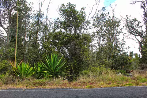 Trade Wind Blvd, Ocean View, HI 96737