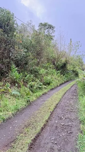 Oahu St, Mountain View, HI 96771