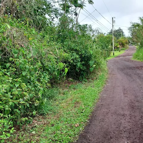 Paradise Ct, Kurtistown, HI 96760