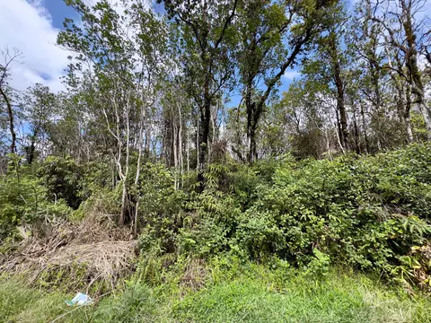 Kopaa St, Mountain View, HI 96771