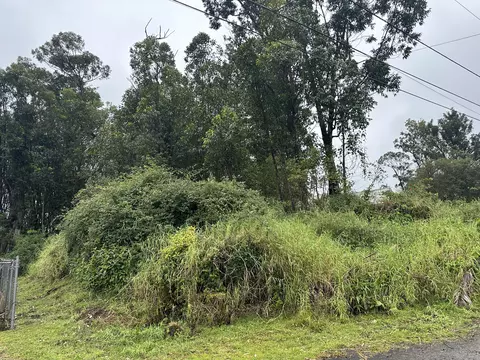 18-4104 Hohiu St, Mountain View, HI 96771