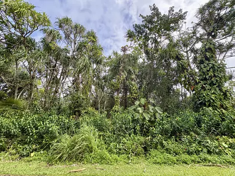 Oopu St, Pahoa, HI 96778