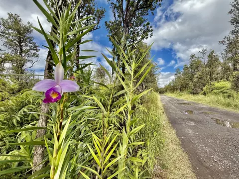 Naia St, Mountain View, HI 96771