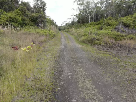 Ihope Rd, Mountain View, HI 96771 photo 4