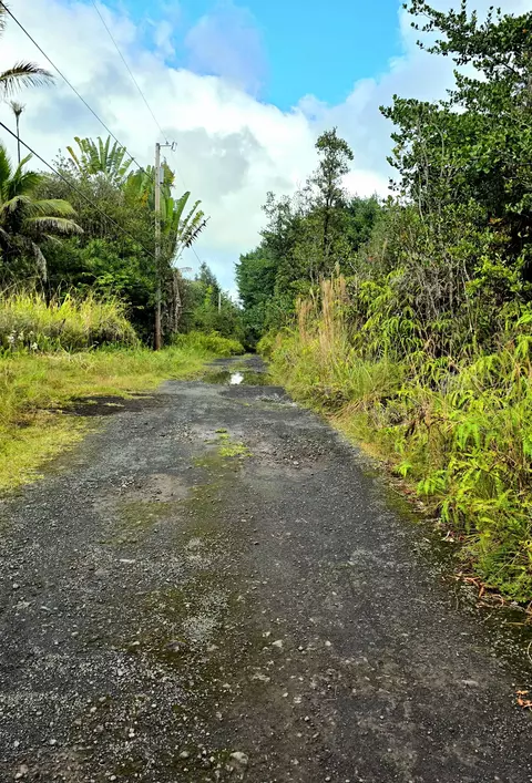 Road 3, Mountain View, HI 96760