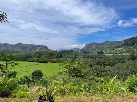 View/Area - 189 Eggerking Rd, Kapaa, HI 96746 photo 1 of 1