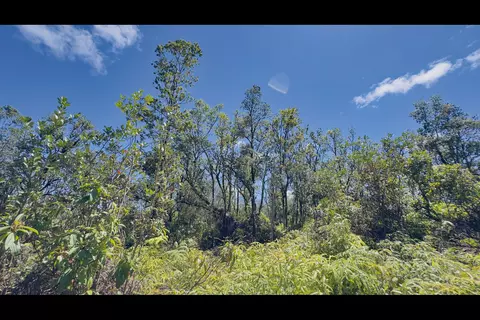 Pikake St, Mountain View, HI 96771