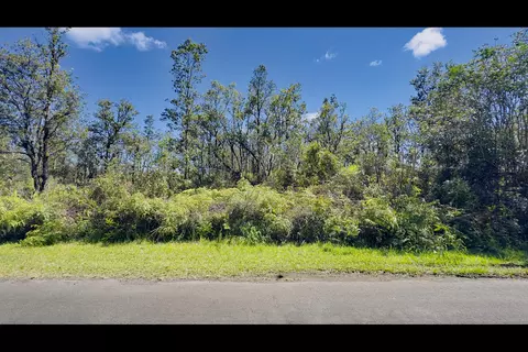 Pikake St, Mountain View, HI 96771 photo 8