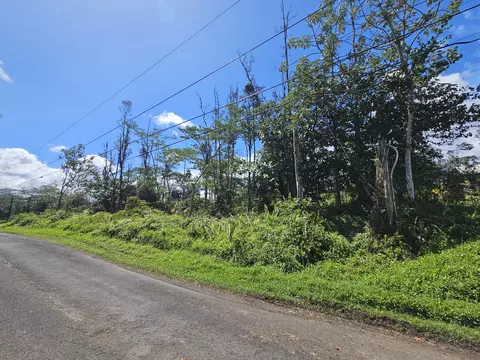 15-1958 23rd Ave, Keaau, HI 96749