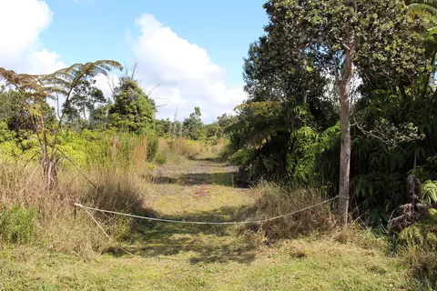 Nahelenani St, Volcano, HI 96785