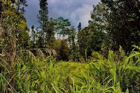 Road 4, Kurtistown, HI 96760