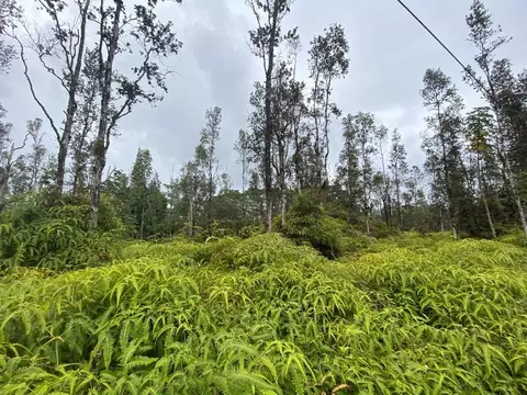 Molokai Rd, Pahoa, HI 96778