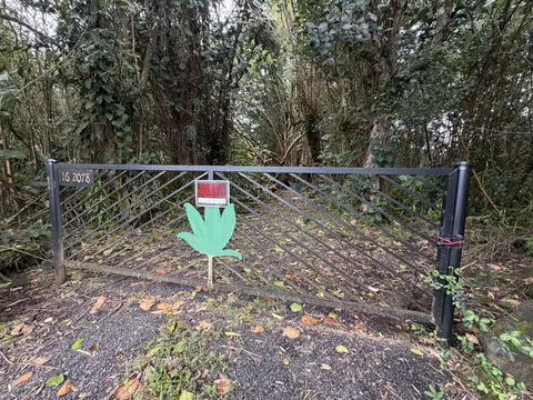 Pahoa Rd, Pahoa, HI 96778