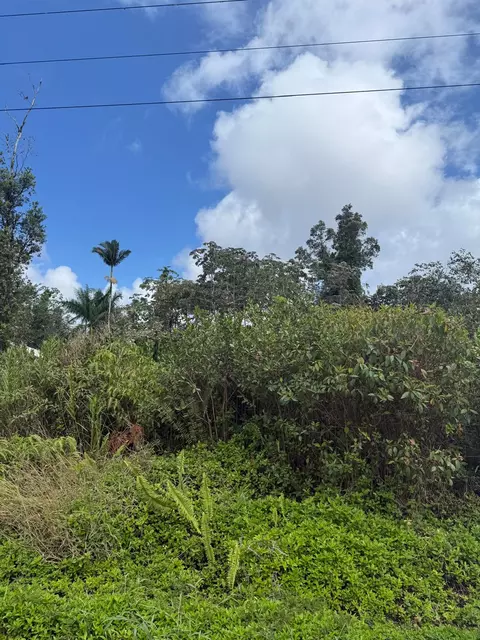 Tree Fern Dr, Pahoa, HI 96778