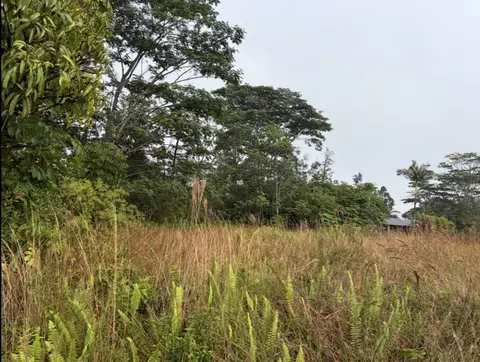 16-2069 Pearl Dr, Pahoa, HI 96778