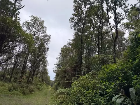 Ala Naulani Rd, Volcano, HI 96785
