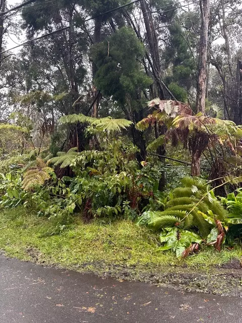 Undisclosed, Volcano, HI 96785
