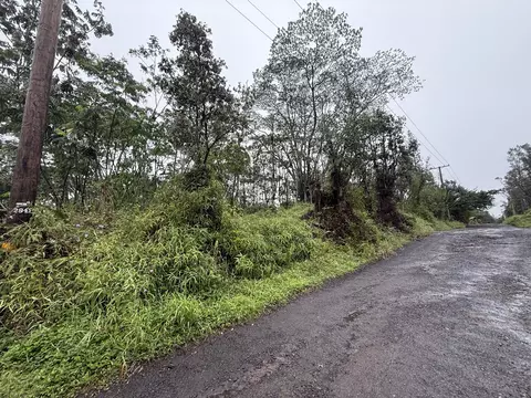Forest Rd, Pahoa, HI 96778