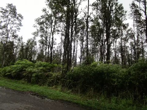 Hibiscus St, Mountain View, HI 96771