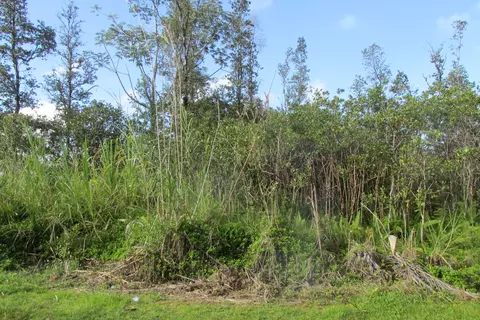 Azure Dr, Pahoa, HI 96778