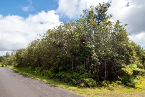 Hibiscus St, Mountain View, HI 96771