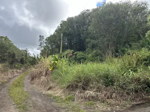 Road 7, Mountain View, HI 96771