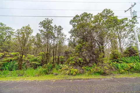 Anuhea St, Volcano, HI 96785 photo 7