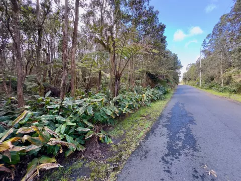 11-3839 4th St, Volcano, HI 96785 photo 6