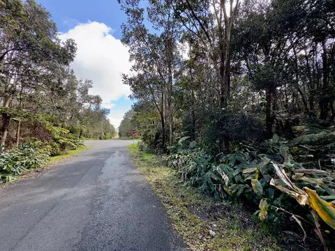 11-3839 4th St, Volcano, HI 96785 photo 7