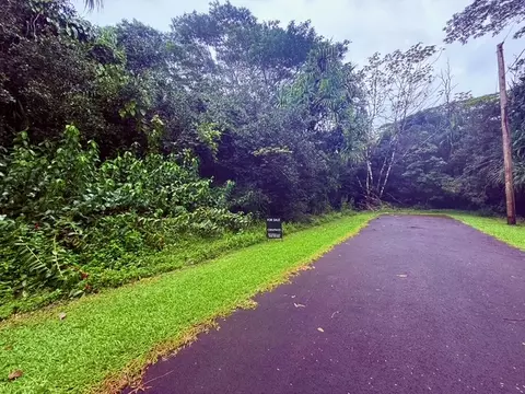 1511 S Oio St, Pahoa, HI 96778