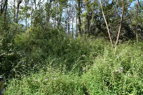 14-3537 Kauai Rd, Pahoa, HI 96778